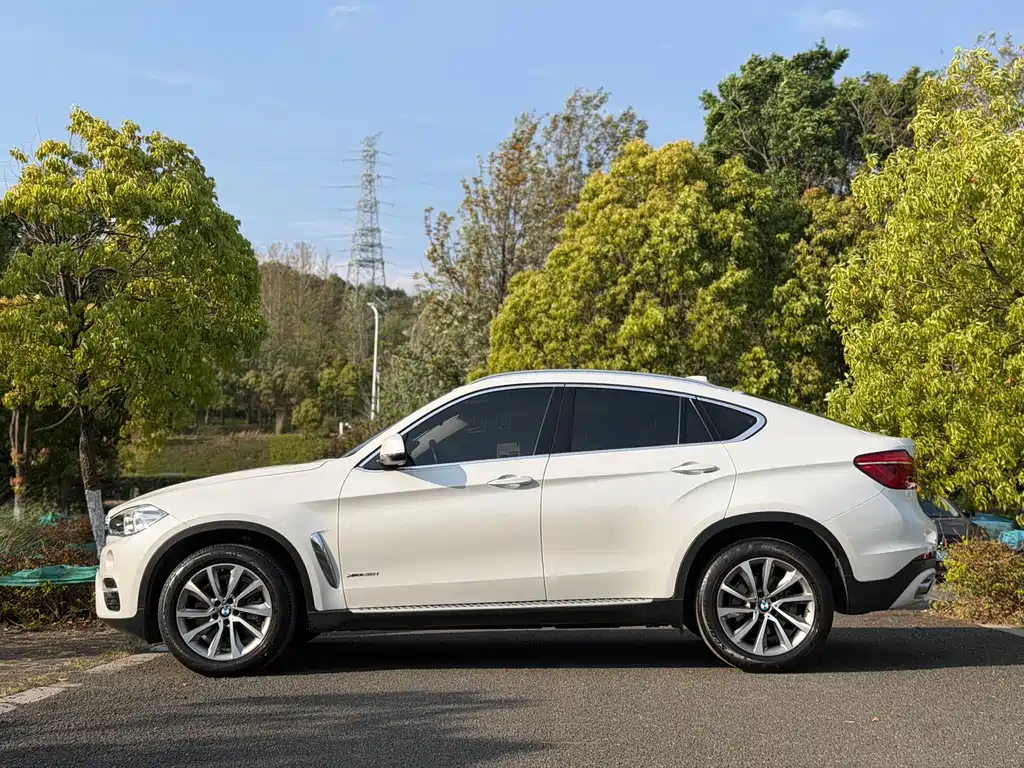 BMW X6 xDrive35 i Luxury