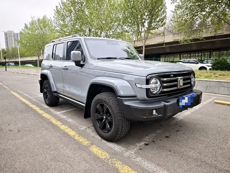 Tank 300 City 2.0 T Very