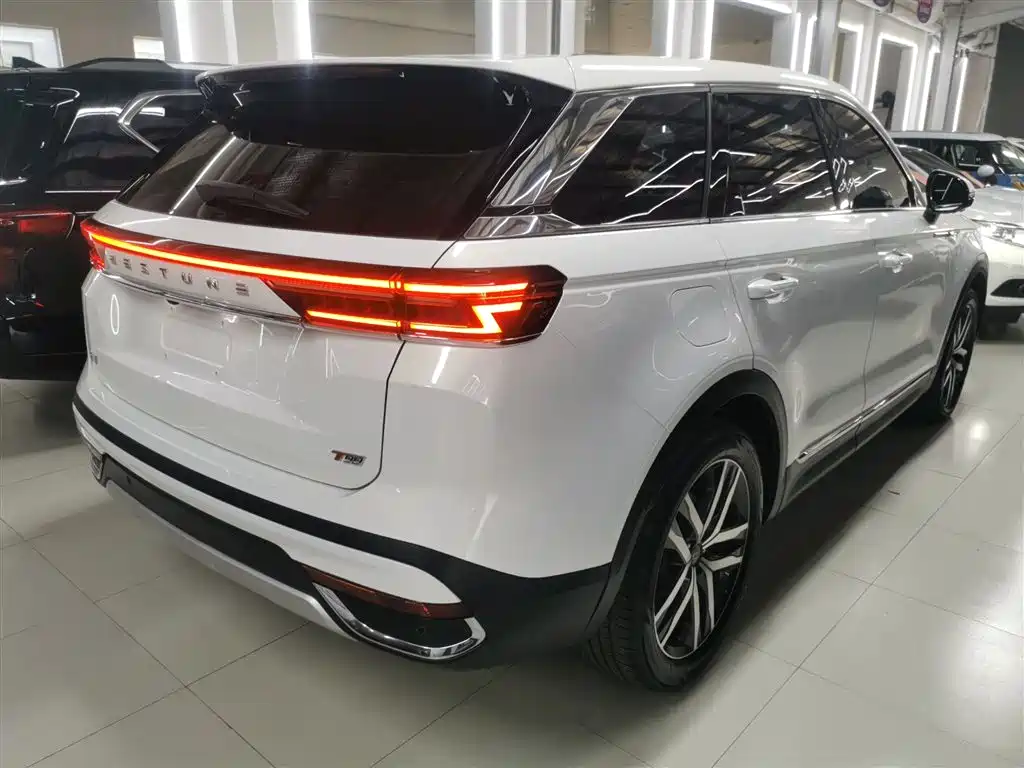 Besturn T99 奔腾T99 2023款 2.0 T 自动尊贵型