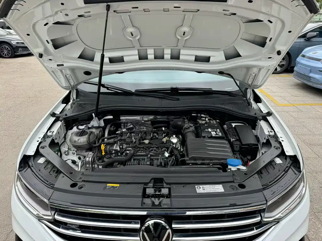 Tiguan L Outstanding 330 TSI Auto 2 WD R-Line Dragon Shine