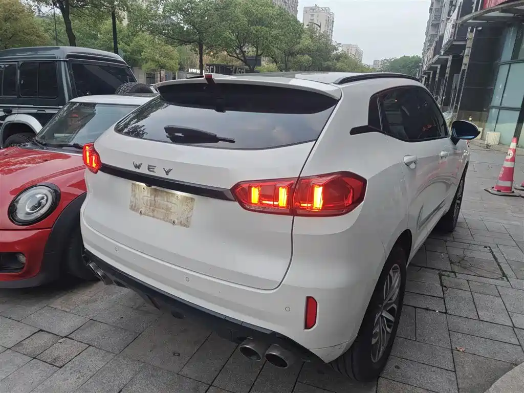 WEY VV5 2.0 T Super Luxury