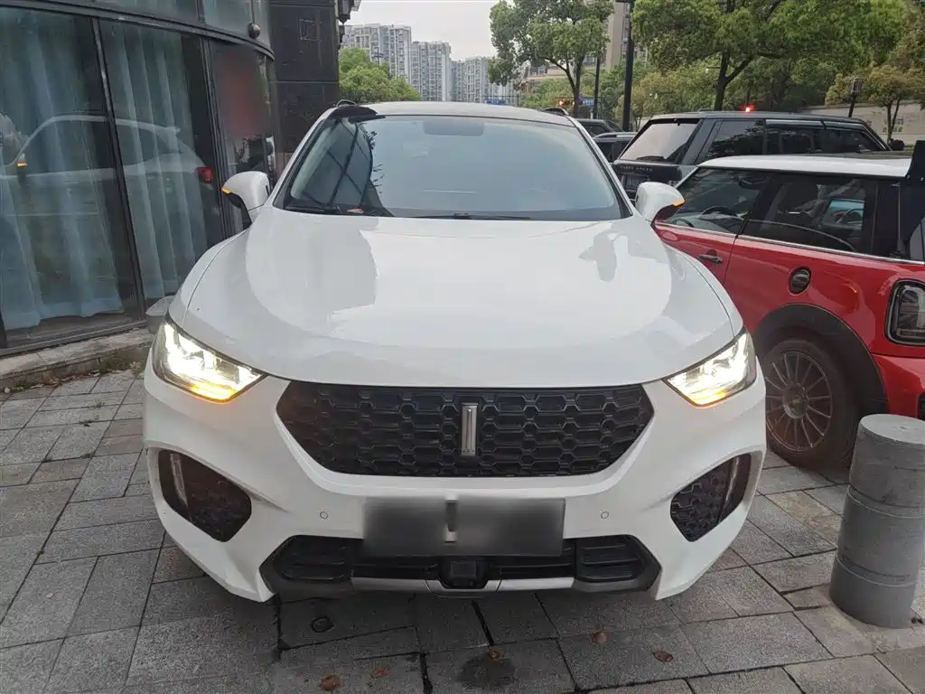 WEY VV5 2.0 T Super Luxury