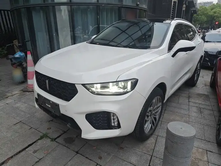 WEY VV5 2.0 T Super Luxury