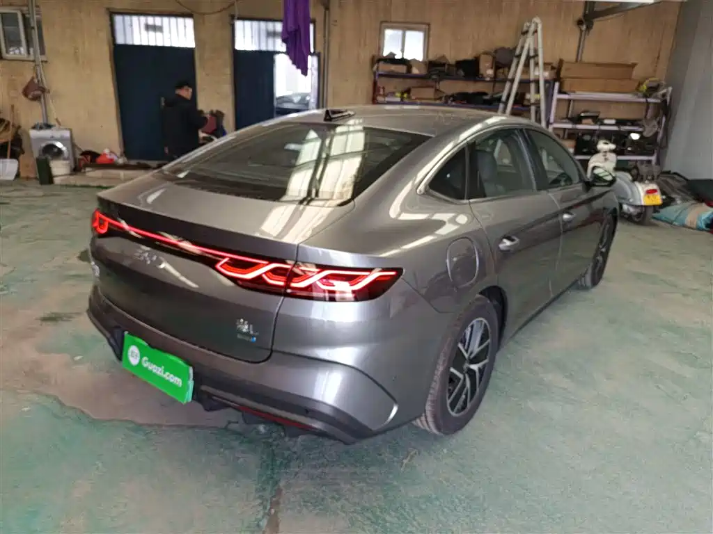Qin L DM-i Smart Drive 80 KM Transcend