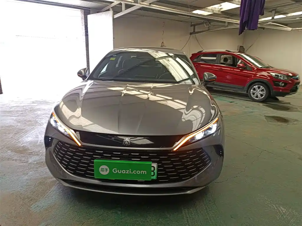 Qin L DM-i Smart Drive 80 KM Transcend
