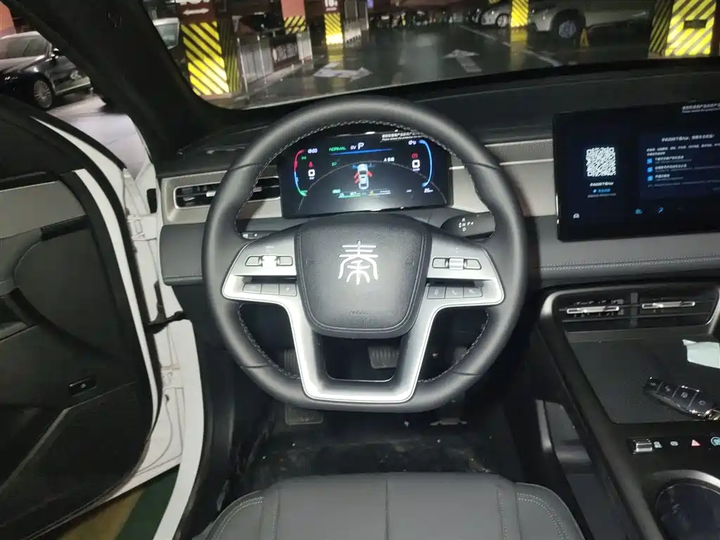 Qin PLUS DM-i Smart Drive 128 KM Progressive