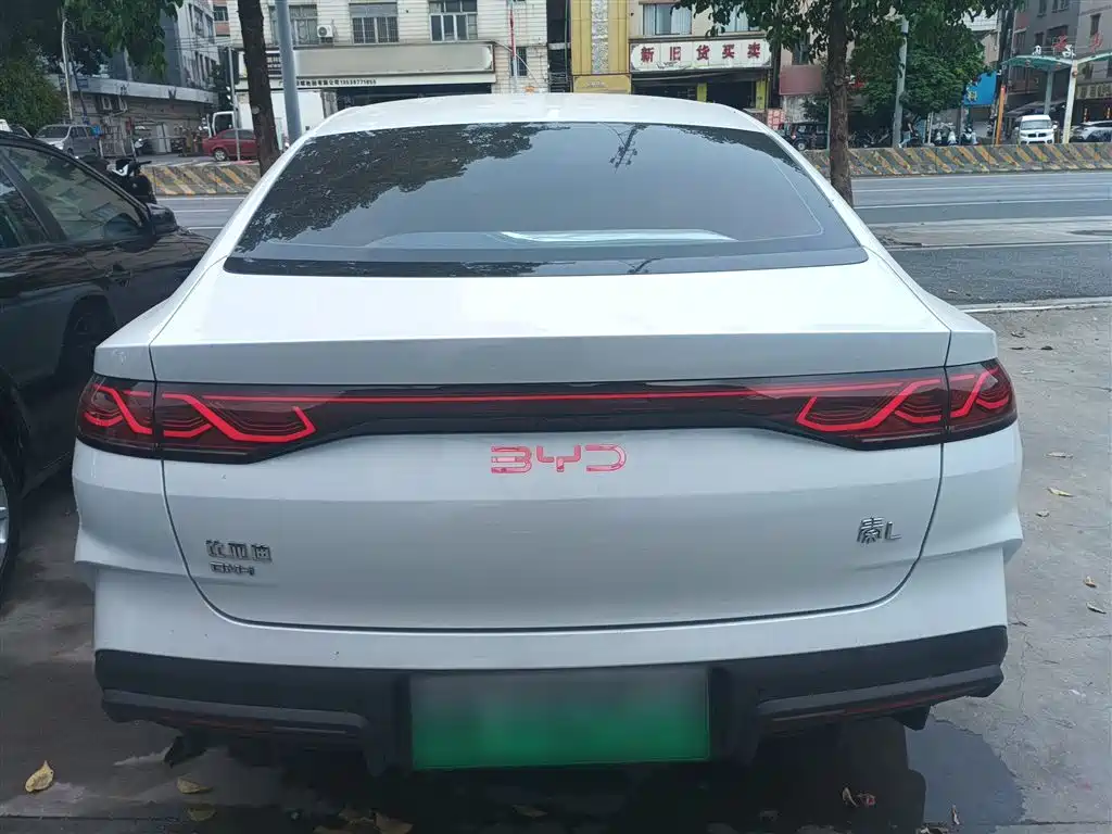 Qin L DM-i 80 KM Transcend