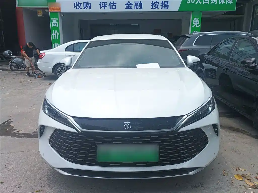 Qin L DM-i 80 KM Transcend