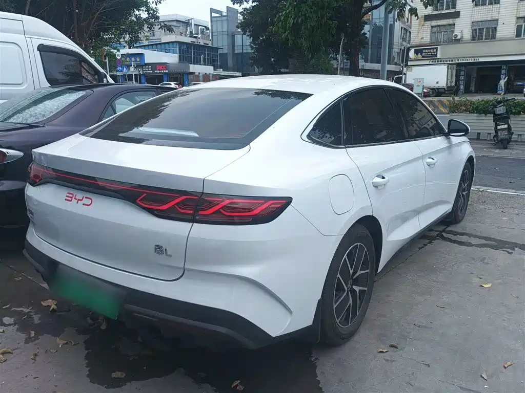 Qin L DM-i 80 KM Transcend
