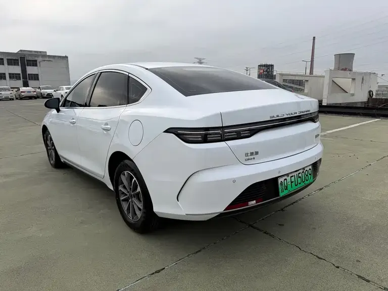 BYD Destroyer 05 Glory DM-i 55 KM Luxury