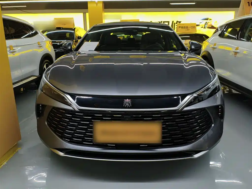 Qin L DM-i 120 KM Transcend