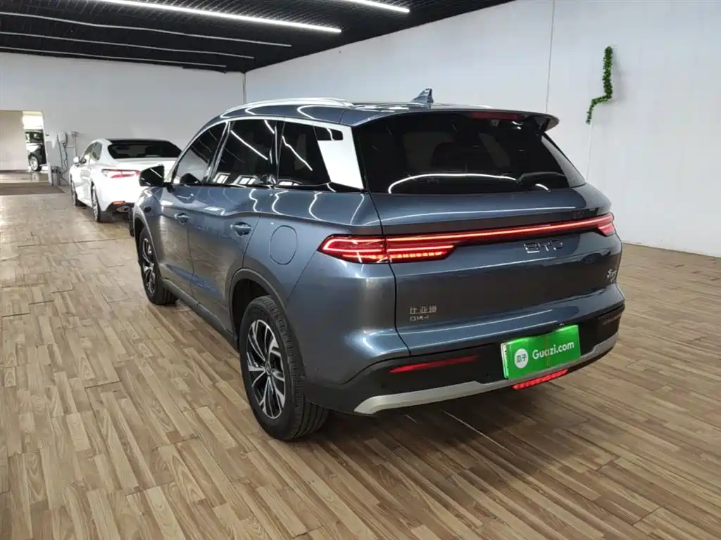 Song Pro NEV 2 nd Gen Smart Drive DM-i 75 KM Leading