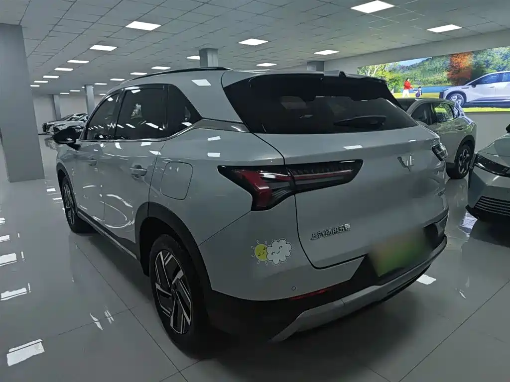 Wuling Starlight S 130 km Flagship