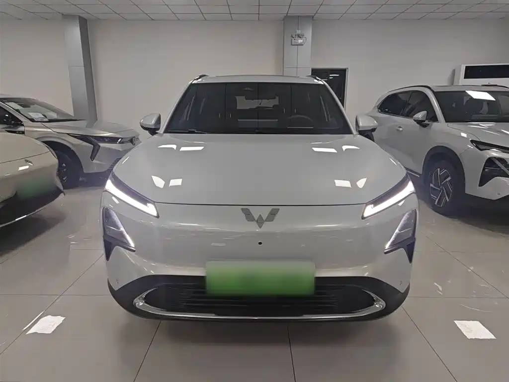 Wuling Starlight S 130 km Flagship