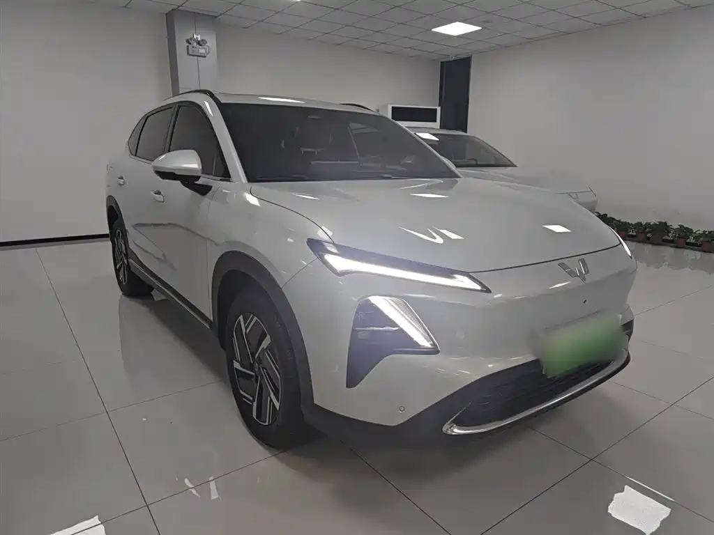 Wuling Starlight S 130 km Flagship