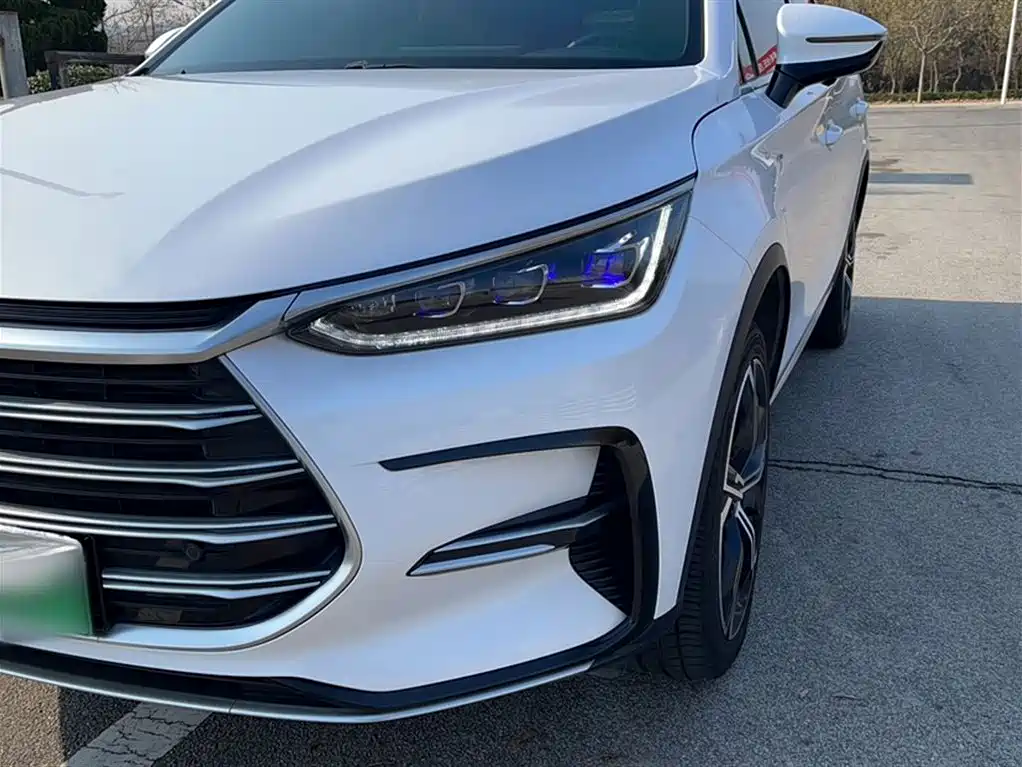 Tang NEV DM 2.0 T 4 WD Performance Distinguished