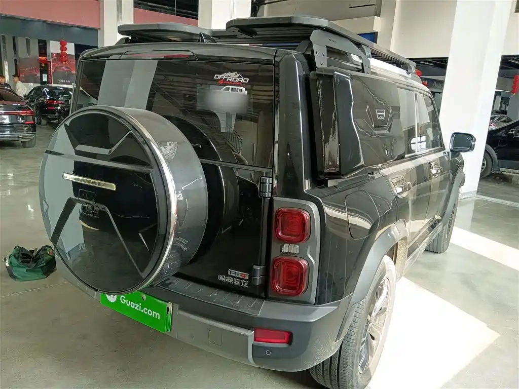 Haval Menglong NEV Hi4 145 Pro