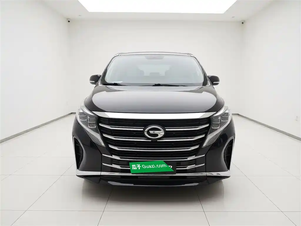 GAC Trumpchi M8 Leading Show Series 390 T Premium
