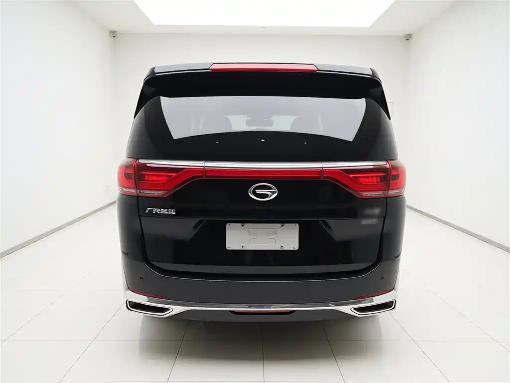 GAC Trumpchi M8 Leading Show Series 390 T Premium