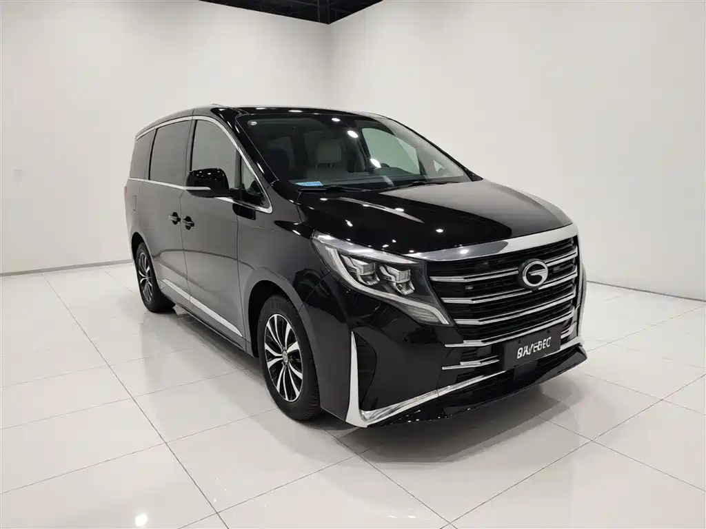 GAC Trumpchi M8 Leading Show Series 390 T Premium