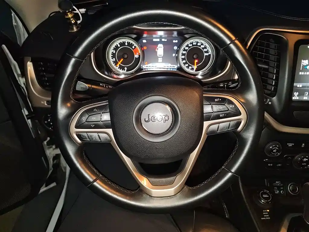 Cherokee 2.4 L Professional Intelligent