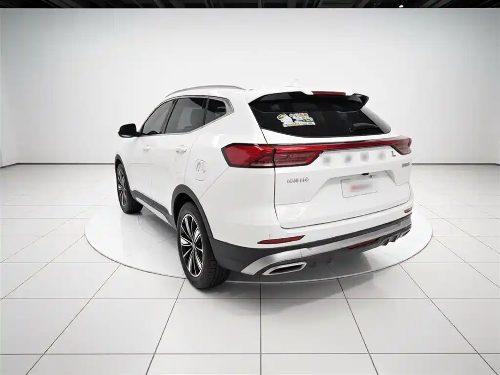 Haval H6 China Style 1.5 T Auto Champion
