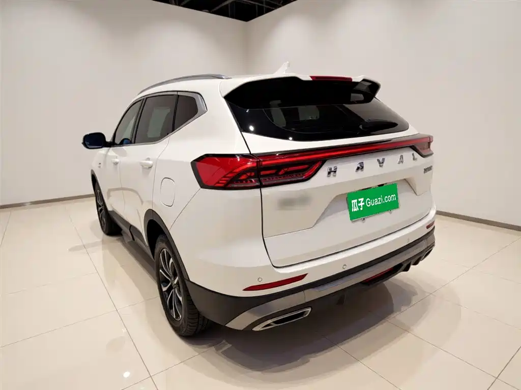 Haval H6 China Style 1.5 T Auto Urban