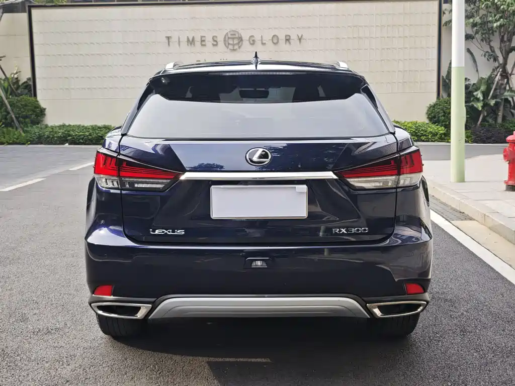 Lexus RX Facelift 300 2 WD Elite