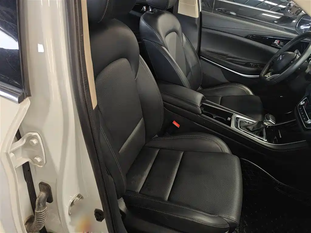 Ruicheng CC Blue Whale 1.5 T DCT Luxury