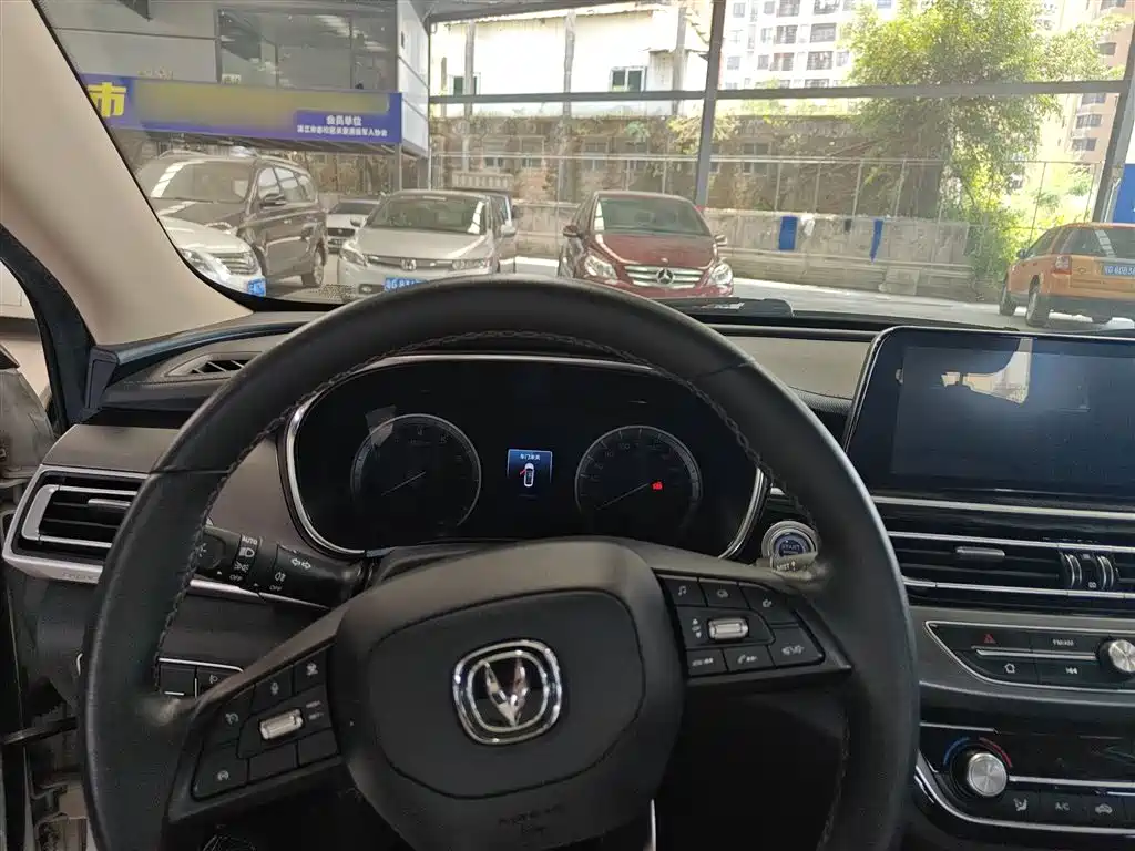 Ruicheng CC Blue Whale 1.5 T DCT Luxury
