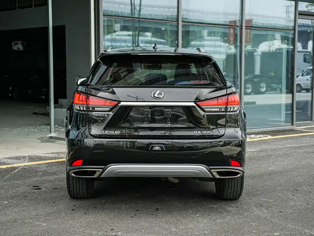 Lexus RX 300 2 WD Elite CN-VI