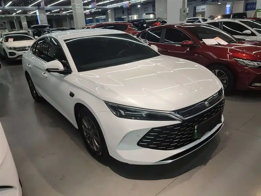 Qin L DM-i Smart Drive 80 KM Leading