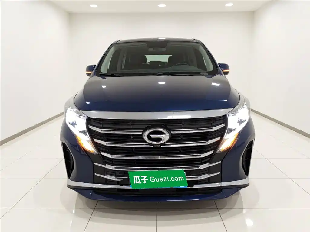 GAC Trumpchi M8 Leading Show Series 390 T Supreme