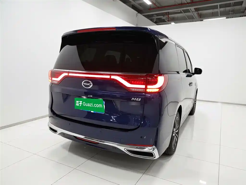 GAC Trumpchi M8 Leading Show Series 390 T Supreme