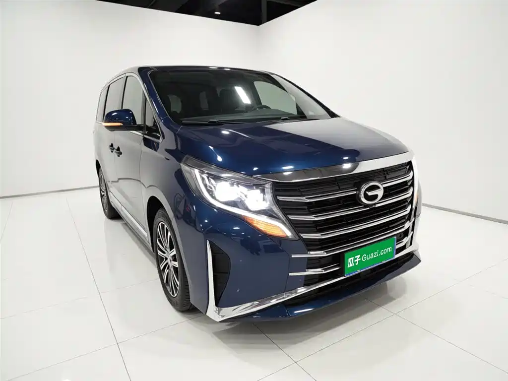GAC Trumpchi M8 Leading Show Series 390 T Supreme