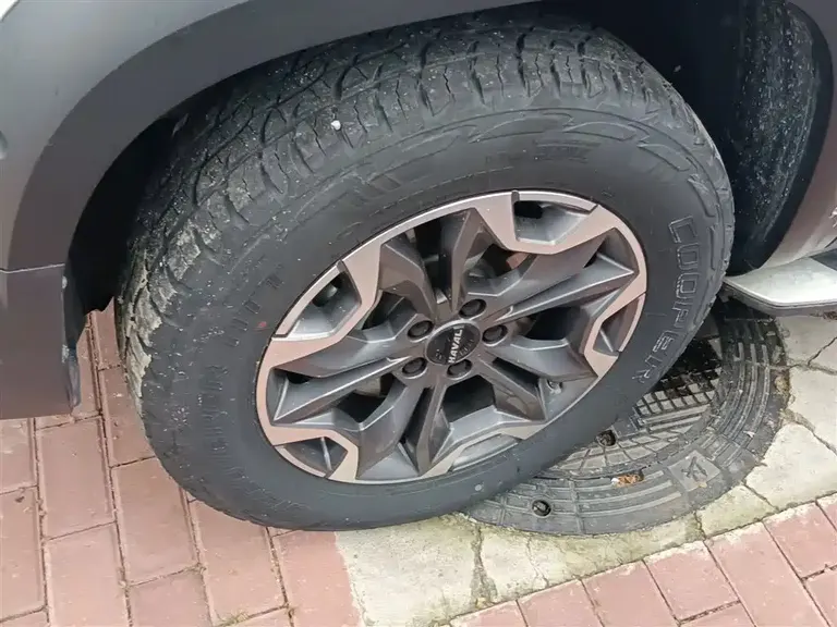 Haval Dargo 2.0 T DCT 4 WD Howling Dog Hunt