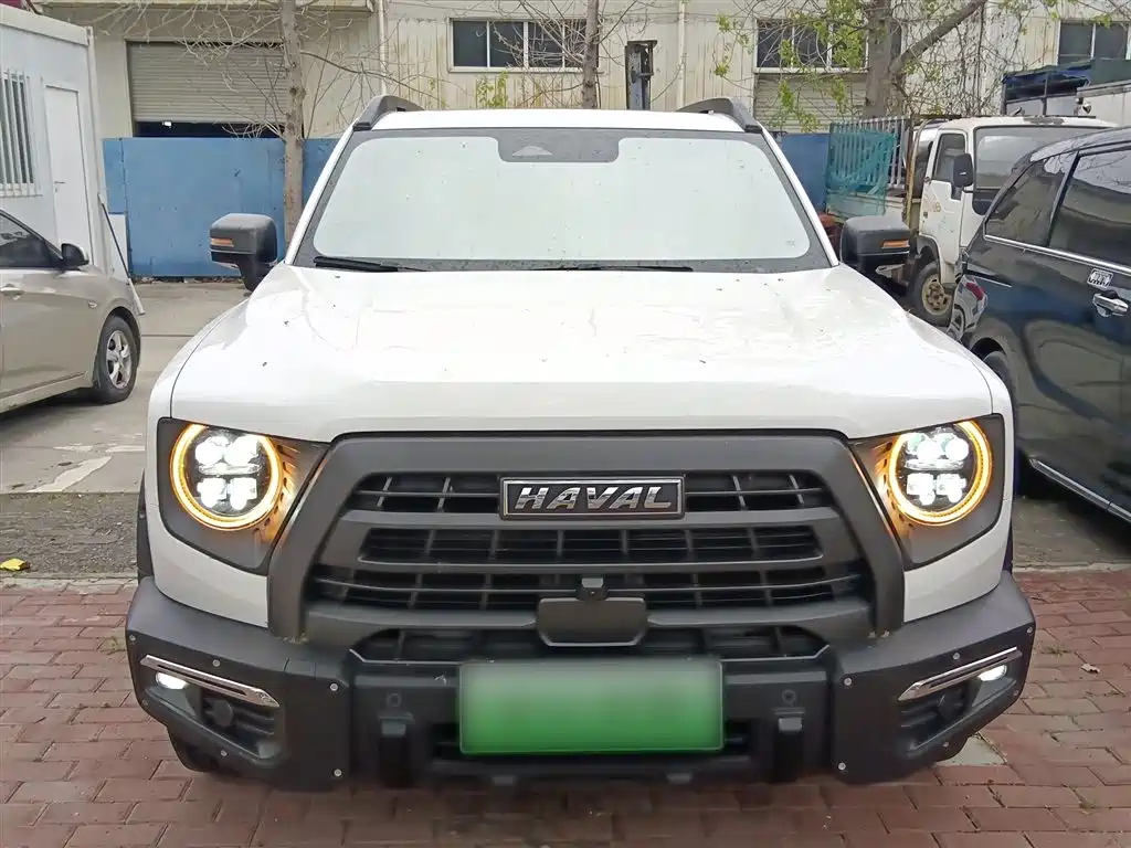Haval Dargo 2.0 T DCT 4 WD Howling Dog Hunt