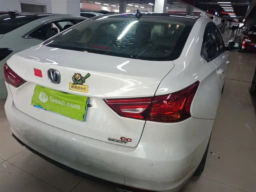 Ruicheng CC Blue Whale 1.5 T DCT Luxury