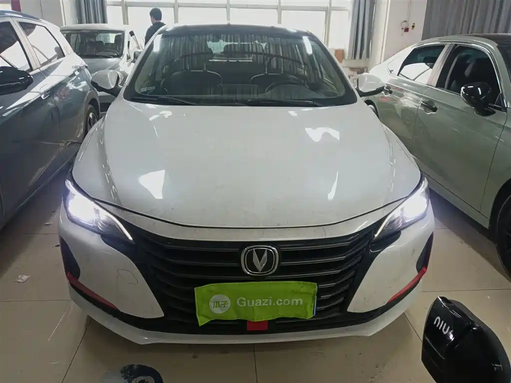 Ruicheng CC Blue Whale 1.5 T DCT Luxury