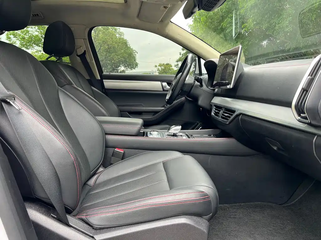 Tang NEV DM 2.0 T Full-time 4 WD Connected Creative Enjoyment 7-seat CN-VI