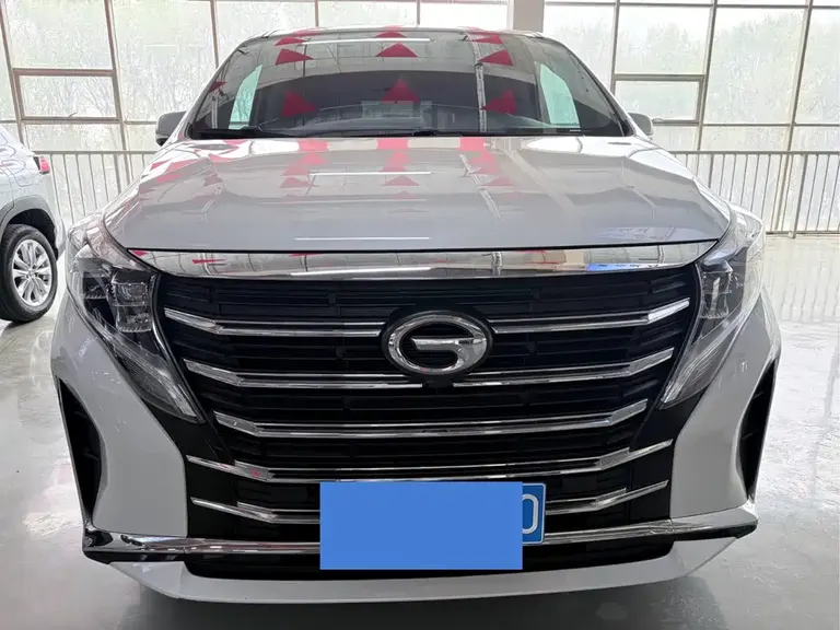 GAC Trumpchi M8 Leading Show Series 390 T Premium