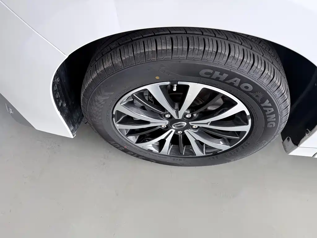 GAC Trumpchi M8 Leading Show Series 390 T Premium