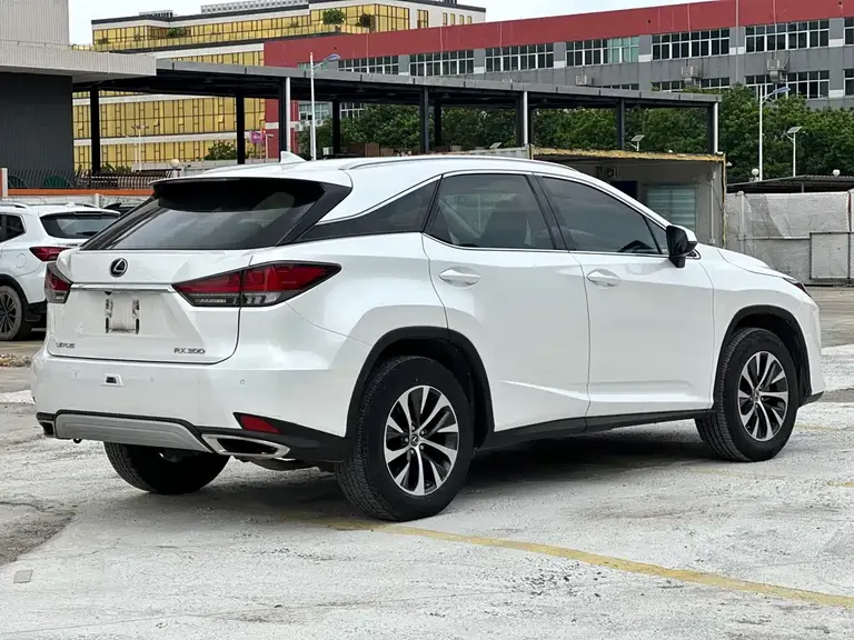 Lexus RX 300 2 WD Comfort CN-VI