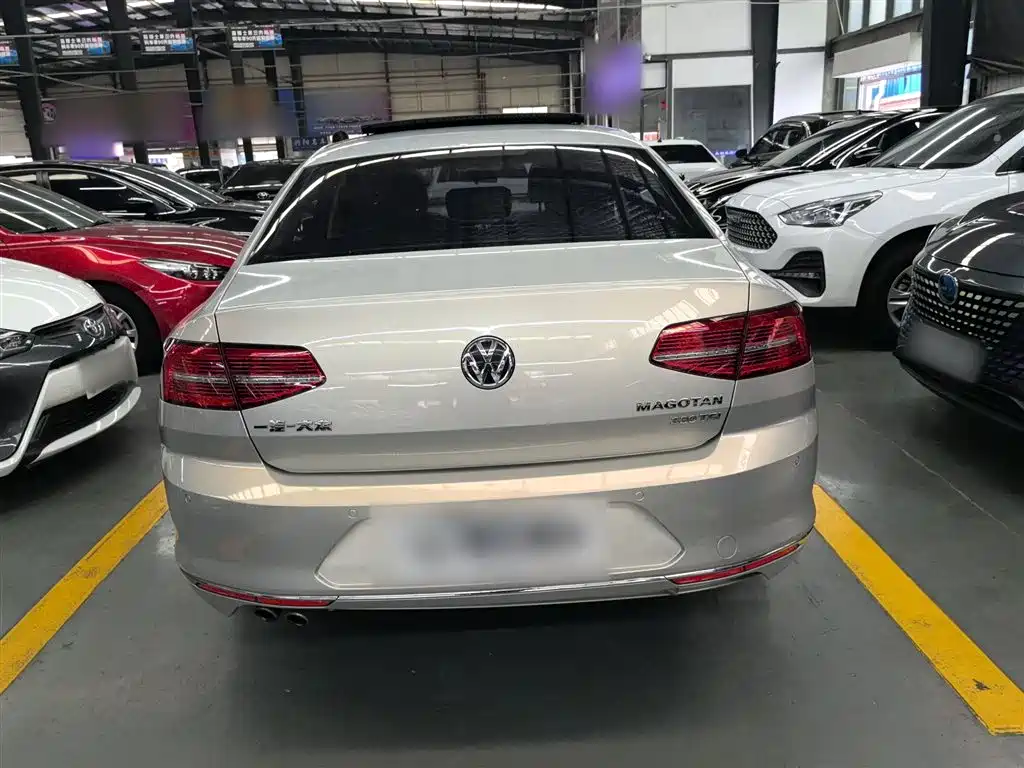 Magotan 330 TSI DSG Leading