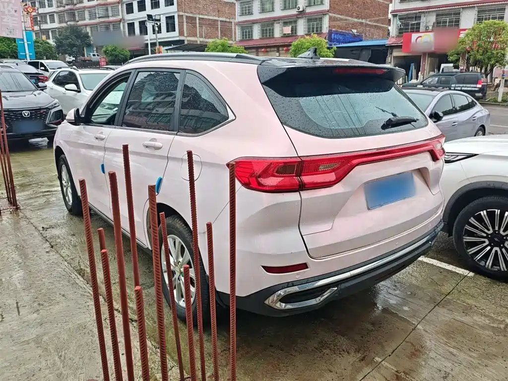 Haval M6 PLUS 1.5 T DCT Luxury Connected