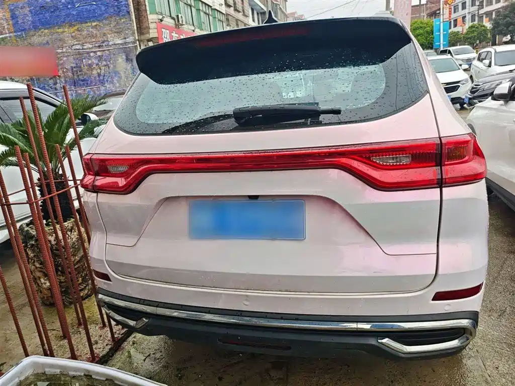 Haval M6 PLUS 1.5 T DCT Luxury Connected