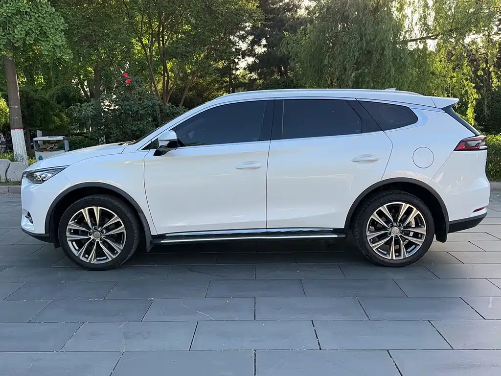 Tang 2.0 T Auto Connected Honored 7-seat CN-VI