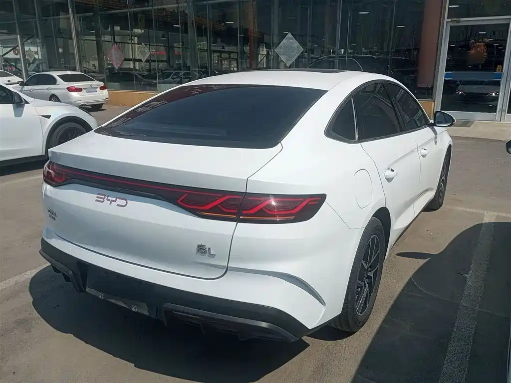Qin L DM-i 120 KM Transcend