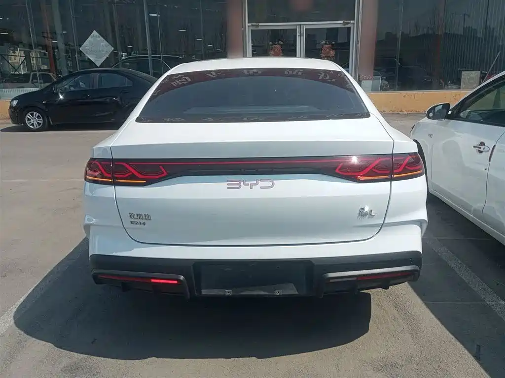 Qin L DM-i 120 KM Transcend