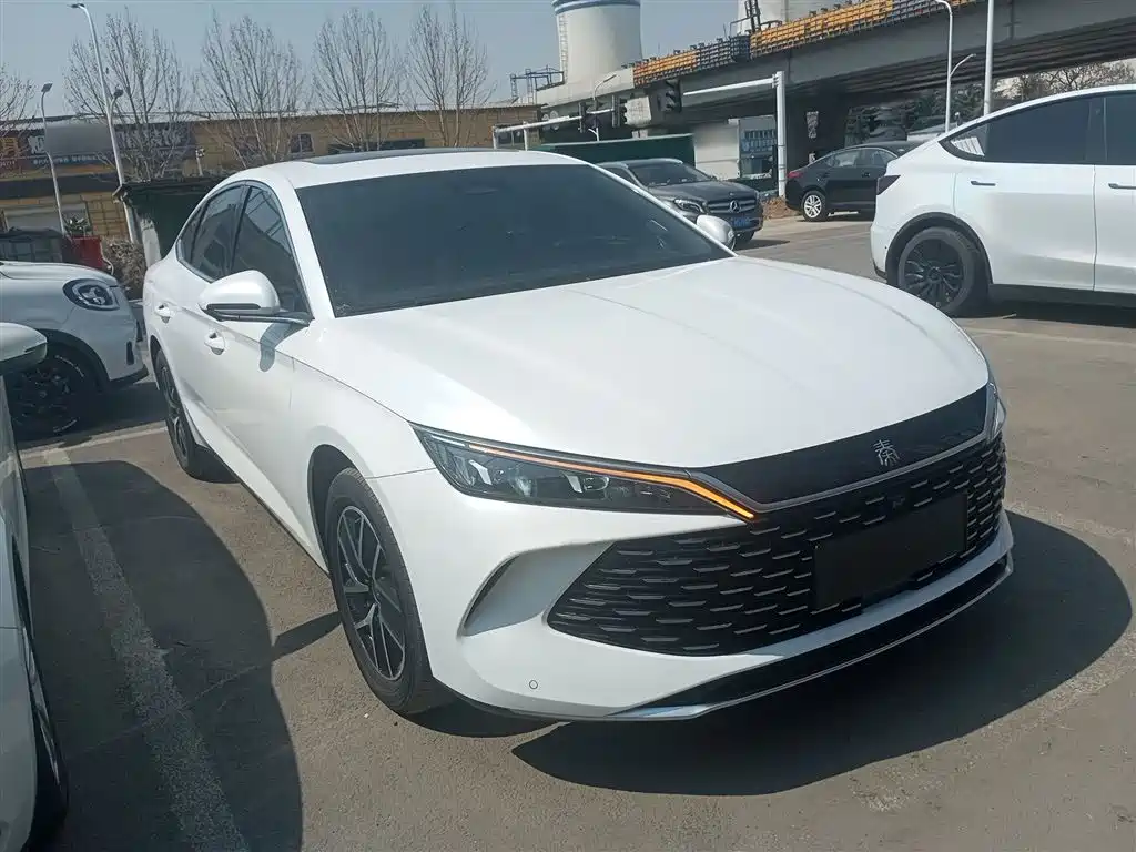Qin L DM-i 120 KM Transcend